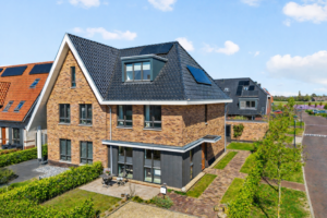 <strong>Hazelnootlint 2</strong>, Limmen